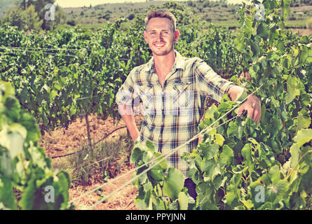 Smiling young man standing jardinier chez les raisins d'une journée ensoleillée sur les arbres Banque D'Images