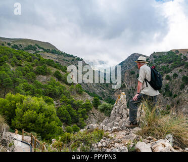 Homme portant chapeau Panama admirant gorge de montagne vue, Sierras de Tejeda, parc naturel, l'Axarquia Andalousie, Espagne Banque D'Images