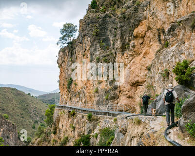 Les hommes plus âgés et le chien marche sur gorge de montagne falaise sentier étroit, Sierras de Tejeda parc naturel, la Axarquía, Andalousie, Espagne Banque D'Images