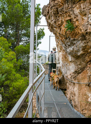 Homme plus âgé et le chien marche sur gorge de montagne falaise walkway, Sierras de Tejeda parc naturel, la Axarquía, Andalousie, Espagne Banque D'Images