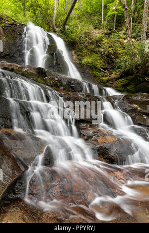 Laurel Falls Cascade Banque D'Images