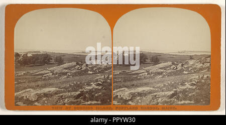 Voir l'Île à Cushing, Portland Harbor, Maine ; Simon Towle, États-Unis, actif à Lowell, Massachusetts, 1855 - 1893, 1870 ; Albumen Banque D'Images