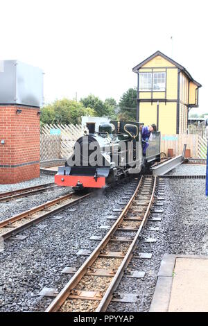 Petit train à vapeur de la jauge sur la plaque Banque D'Images