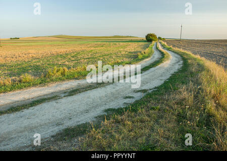 Tourner sur une plage de route de campagne à travers champs vers l'horizon. Le paysage de la campagne polonaise Banque D'Images