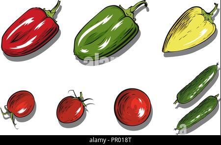 Ensemble de légumes vecteur illustration. Papper, tomate et concombre. Illustration de Vecteur