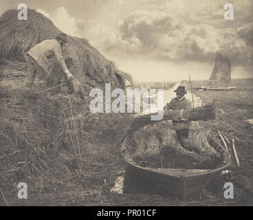 L'Ricking Reed ; Peter Henry Emerson, britannique, né à Cuba, 1856 - 1936, Londres, Angleterre ; 1886 ; platine imprimer ; 23,2 x 28,4 cm Banque D'Images