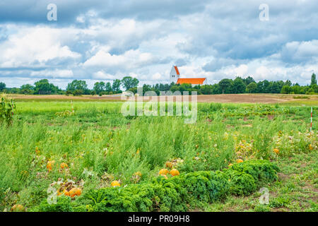 Belle vue sur l'île de Moen Fanefjord Church, Danemark, Scandinavie, Europe,. Banque D'Images