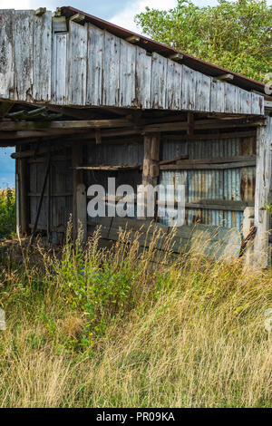 Ancien hangar pourri sur un champ sur l'Île Nyord au nord de Moen, Danemark, Scandinavie, l'Europe. Banque D'Images