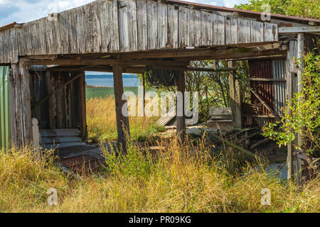 Ancien hangar pourri sur un champ sur l'Île Nyord au nord de Moen, Danemark, Scandinavie, l'Europe. Banque D'Images