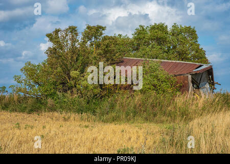 Ancien hangar pourri sur un champ sur l'Île Nyord au nord de Moen, Danemark, Scandinavie, l'Europe. Banque D'Images