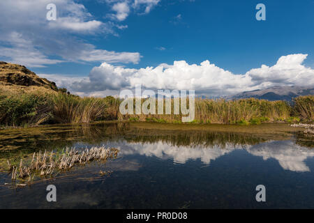 Vue de la rive de l'Mikri Prespa (petites) Lake dans le nord de la Grèce Banque D'Images