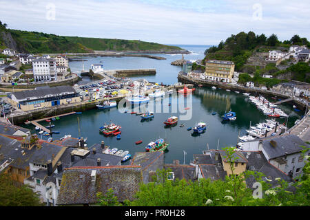 Le port à Luarca, Asturias, Espagne, Europe Banque D'Images