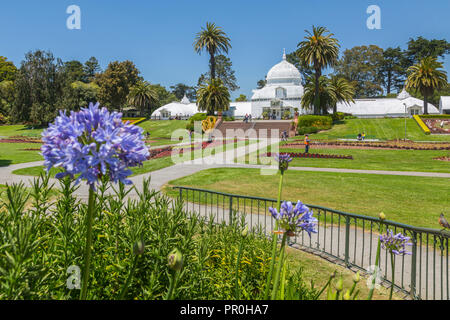 Conservatoire des fleurs, Golden Gate Park, San Francisco, Californie, États-Unis d'Amérique, Amérique du Nord Banque D'Images