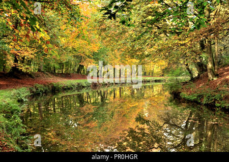 Autour du Royaume-Uni - réflexions d'automne sur le canal de Liverpool de Leeds Banque D'Images