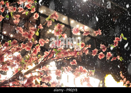 Maquette du rose Sakura direction sous l'avant-toit et la neige de l'automne dans une nuit Banque D'Images