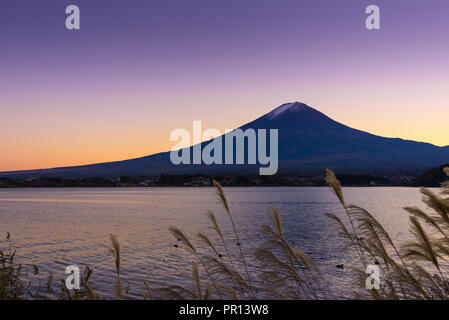 Le coucher du soleil sur le Mont Fuji et le lac Kawaguchiko. Site du patrimoine mondial de l'UNESCO au Japon - La préfecture de Yamanashi. Banque D'Images