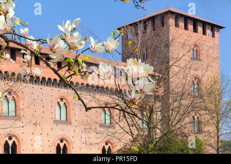 Printemps à Castello Visconteo (Château Visconti), Pavia, province de Pavie, Lombardie, Italie, Europe Banque D'Images