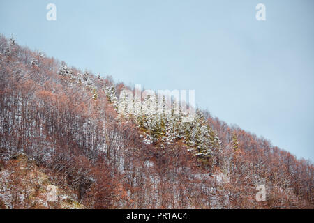 Montagnes gelés Hunedoara Roumanie arbres gelés au début de l'hiver Banque D'Images