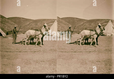 Les colonies juives de peuplement et de commencer une colonie juive un camp avec battage conseil. 1920, Moyen Orient Banque D'Images