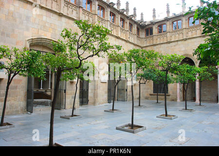 Pati dels Tarongers. Palau de la Generalitat vue de l'intérieur. Barcelone. La Catalogne. Espagne Banque D'Images