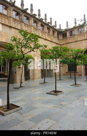 Pati dels Tarongers. Palau de la Generalitat vue de l'intérieur. Barcelone. La Catalogne. Espagne Banque D'Images