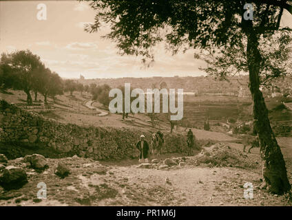 Jérusalem, de pentes d'Olivet, camel venant jusqu'à la colline 1934, Israël Banque D'Images