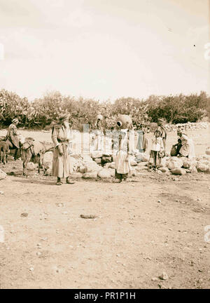 Vues du nord. Le printemps à Cana de Galilée. 1900, Israël, Kafr Kannā Banque D'Images
