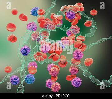 La leucémie, conceptual image composite. La microscopie électronique à balayage (MEB) et de l'image générée par ordinateur (CGI) d'ADN (acide désoxyribonucléique) hélices (molécules) et rouges et blancs. La leucémie est un cancer des cellules de sang blanches. Les leucémies sont causés par des mutations dans l'ADN des cellules sanguines. Ces mutations génétiques changer la façon dont les cellules sanguines se reproduire et peut également les empêcher de fonctionner correctement. Finalement, les cellules sanguines anormales d'évincer les cellules sanguines saines et peut bloquer la moelle osseuse de produire plus de cellules saines. Banque D'Images