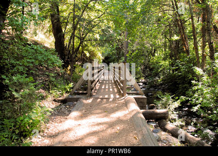 Un magnifique pont en bois beige à Lithia Park, Ashland, Oregon, projetant des lignes d'ombre sur le terrain en revanche, entourée de forêts et arbres Banque D'Images