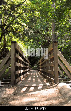 Un magnifique pont en bois beige à Lithia Park, Ashland, Oregon, projetant des lignes d'ombre sur le terrain en revanche, entourée de forêts et arbres Banque D'Images