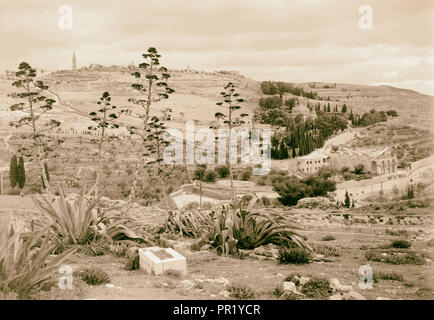 Gethsémani & Olivet avec les plantes en premier plan 1940 siècle, Jérusalem, Israël Banque D'Images