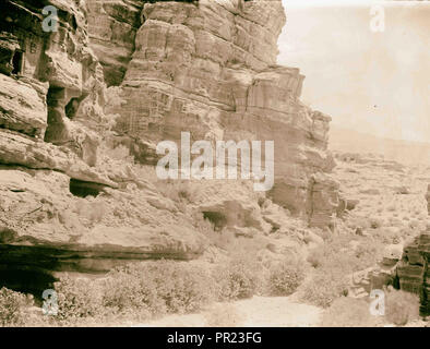 Petra. Des lauriers-roses dans la vallée à proximité de Petra. 1940, Jordanie, Petra, la ville disparue Banque D'Images