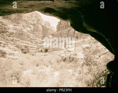 Petra. Des lauriers-roses dans la vallée à proximité de Petra bon. 1940, Jordanie, Petra, la ville disparue Banque D'Images
