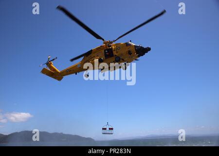 Un équipage à bord d'un hélicoptère Jayhawk MH-60 de la Garde côtière de la rivière Columbia secteur abaisse une nacelle de sauvetage pendant un exercice de routine sur la rivière Columbia, près de Fez, dans l'État de Washington, 3 juillet 2018. Une nacelle de sauvetage est l'une des pièces d'équipement le plus utilisé par les membres de l'équipage. U.S. Coast Guard photo de Maître de 2e classe Aaron Wills. Banque D'Images