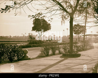 L'Égypte. Le Caire. Jardins de Gezira et sports. 1934, l'Égypte, Le Caire Banque D'Images