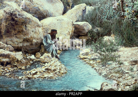 Jéricho et région de la Mer Morte et Jourdain. En-guédi. Le ressort supérieur, I Sam 2329. 1950, Ein Gedi Banque D'Images