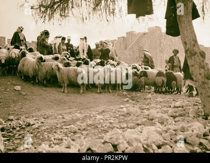 Marché de moutons à la porte d'Hérode. 1934, Jérusalem, Israël Banque D'Images