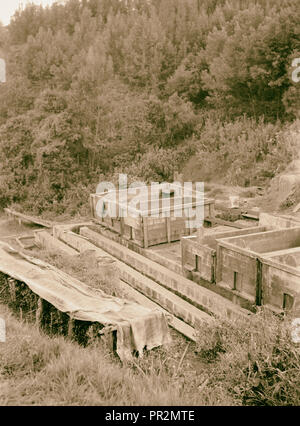 Dans les plantations de la colonie du Kenya. Cuves de lavage du café. 1936, Kenya Banque D'Images