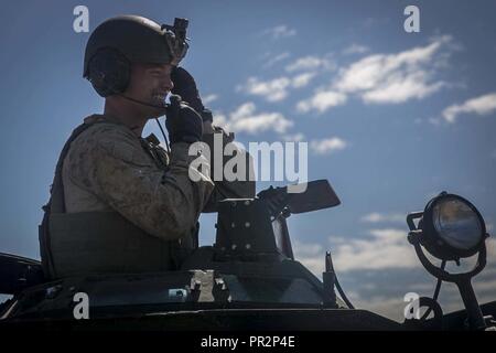 Le Cpl. Ben M. Birkemeier, un chef d'équipe d'assaut véhicule amphibie avec l'Inde, l'entreprise Équipe de débarquement du bataillon, 3e Bataillon, 5ème Marines, communique avec le pilote d'AAV au cours de la récupération d'eau de la formation dans le cadre de l'exercice au sabre Talisman 17 Plage d'eau douce, zone d'entraînement de Shoalwater Bay, Queensland, Australie, le 22 juillet 2017. Birkmeier est originaire de Saint Louis, Missouri. BLT 3/5, l'élément de combat au sol pour la 31e Marine Expeditionary Unit, est l'exploration des concepts et des nouvelles technologies comme la force de la mer dédié à Dragon 2025, une initiative du Marine Corps à se préparer à la future b Banque D'Images