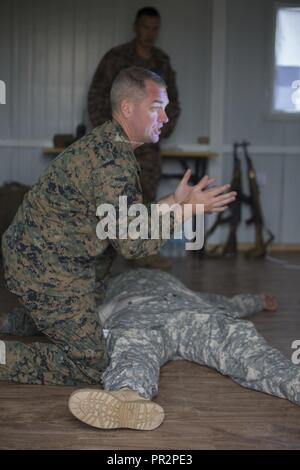 La Marine américaine, le Maître de 3e classe Gregory Joyce montre comment appliquer un tourniquet dans un combat tactique pendant l'exercice de classe KHAAN QUEST 2017 Five Hills au domaine de formation, la Mongolie, le 24 juillet 2017. Khaan Quest 2017 est un Mongol-organisé, combinés, la formation conjointe exercice visant à renforcer les capacités des États-Unis, la Mongolie et d'autres pays partenaires dans les opérations internationales de maintien de la paix. Joyce, de Sacramento, en Californie, est un technicien de laboratoire médical avec 3e Bataillon, 3e Groupe Logistique Maritime, III Marine Expeditionary Force. Banque D'Images