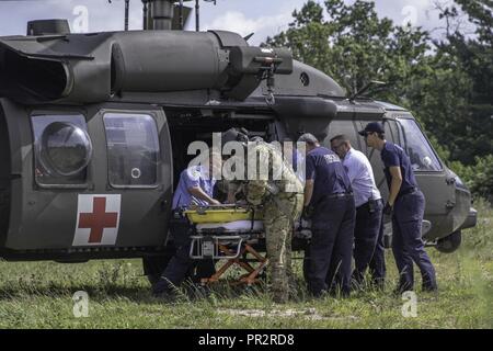 La Virginie de l'ouest de la Garde nationale de l'armée affectés à la 772e Commande des troupes, jointe à la force opérationnelle interarmées de l'aviation et les services médicaux d'urgence de Beckley, répondre à une urgence médicale pendant le Jamboree Scout Mondial à Bechtel Sommet Réserver, Glen Jean, W.Va. le 24 juillet 2017. Le Jamboree National 2017 a été suivi par 30 000 scouts, chefs de troupes, les bénévoles et les membres du personnel professionnel, ainsi que plus de 15 000 visiteurs. Environ 1 200 militaires du ministère de la Défense nationale et la garde côtière des États-Unis sont de fournir un soutien logistique pour l'événement. Banque D'Images