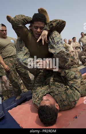 Golfe d'ADEN (28 juillet 2017) U.S. Marine Corps Lance Cpl. Ricardo Rosado, haut, et le Cpl. Matthieu Sirju, bas, les deux avec 3e Bataillon, 6ème Marines, le grappin sur le pont du USS Carter Hall (LSD 50), le golfe d'Aden, le 28 juillet 2017, au cours d'un défi a diet Teufel. La 24e unité expéditionnaire de Marines est actuellement déployée dans la 5e flotte américaine zone d'opérations à l'appui d'opérations de sécurité maritime visant à rassurer les alliés et les partenaires et de préserver la liberté de navigation et la libre circulation du commerce dans la région. Banque D'Images