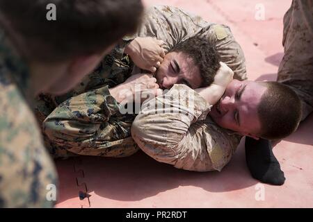 Golfe d'ADEN (28 juillet 2017) U.S. Marine Corps Lance Cpl. Alessandro Cook, centre, et lance le Cpl. Trae Tarr, droite, à la fois avec le 3e Bataillon, 6ème Marines, pince l'un contre l'autre sur le pont du USS Carter Hall (LSD 50), le golfe d'Aden, le 28 juillet 2017, au cours d'un défi a diet Teufel. La 24e unité expéditionnaire de Marines est actuellement déployée dans la 5e flotte américaine zone d'opérations à l'appui d'opérations de sécurité maritime visant à rassurer les alliés et les partenaires et de préserver la liberté de navigation et la libre circulation du commerce dans la région. Banque D'Images