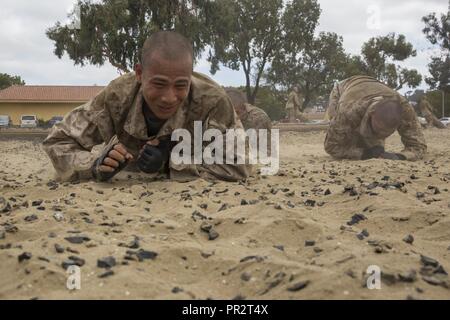 En Recrutement de la Compagnie Charlie, 1er bataillon de formation des recrues, à ramper pendant un exercice de conditionnement de combat du Corps des Marines à recruter Depot San Diego, le 5 septembre. L'entraînement physique est utilisé pour renforcer le corps et développer un caractère fort qui incarnent nos valeurs essentielles grâce au travail d'équipe. Chaque année, plus de 17 000 hommes recrutés dans la région de recrutement de l'Ouest sont formés à MCRD San Diego. La Compagnie Charlie est prévue pour le 9 novembre des cycles supérieurs. Banque D'Images