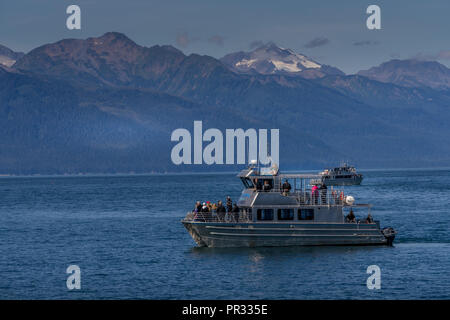 Juneau, Alaska. USA - Aug 19, 2018. Bateau d'observation des baleines à la recherche des baleines à bosse dans Auke Bay, Alaska Banque D'Images