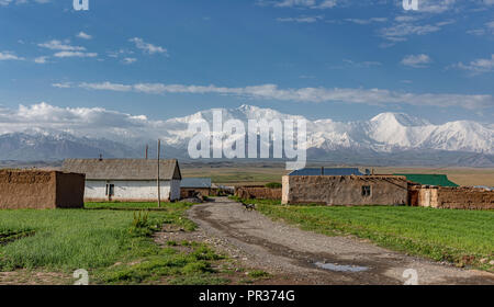 Magnifiquement situé dans la vallée de l'Alay entre le Zaalay montagnes et le Pamir, Sary Mogol est le point de départ pour visiter le pic Lénine. Banque D'Images