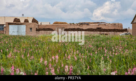 Magnifiquement situé dans la vallée de l'Alay entre le Zaalay montagnes et le Pamir, Sary Mogol est le point de départ pour de multiples randonnées. Banque D'Images