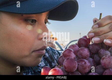 Gare ROTA, ESPAGNE (Août 31, 2017) 1ère classe spécialiste culinaire Devon Vigile, d'El Paso, Texas, inspecte les produits frais avant de recevoir les fournitures à bord de la classe Arleigh Burke destroyer lance-missiles USS Donald Cook (DDG 75), le 31 août 2017. Donald Cook, l'avant-déployé à Rota, en Espagne, est sur sa 6ème patrouille dans la sixième flotte américaine zone d'opérations à l'appui des alliés et partenaires, et les intérêts de sécurité nationale des États-Unis en Europe. Banque D'Images