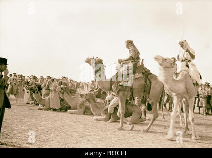 Réunion de courses (horse & Camel). Beer Schéba. Les chameaux ont défilé avant[re] la course. 1940, Israël, Beersheba Banque D'Images