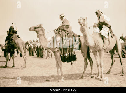 Réunion de courses (horse & Camel). Beer Schéba. Les chameaux ont défilé avant[re] la course. 1940, Israël, Beersheba Banque D'Images